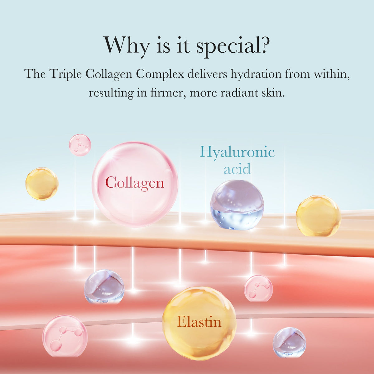triple-collagen-cream-d5 04_8e4e330d-7d9c-4ff0-93ec-ea541093220c.jpg